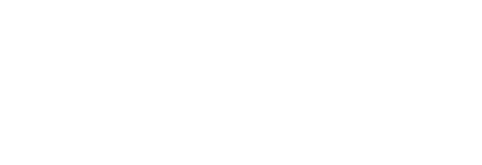 De Slimme Jongens
