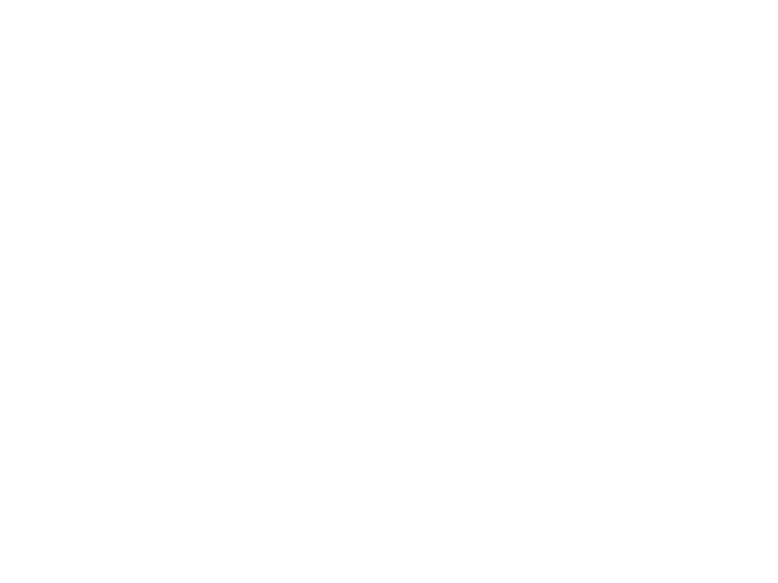 Domotica Meesters