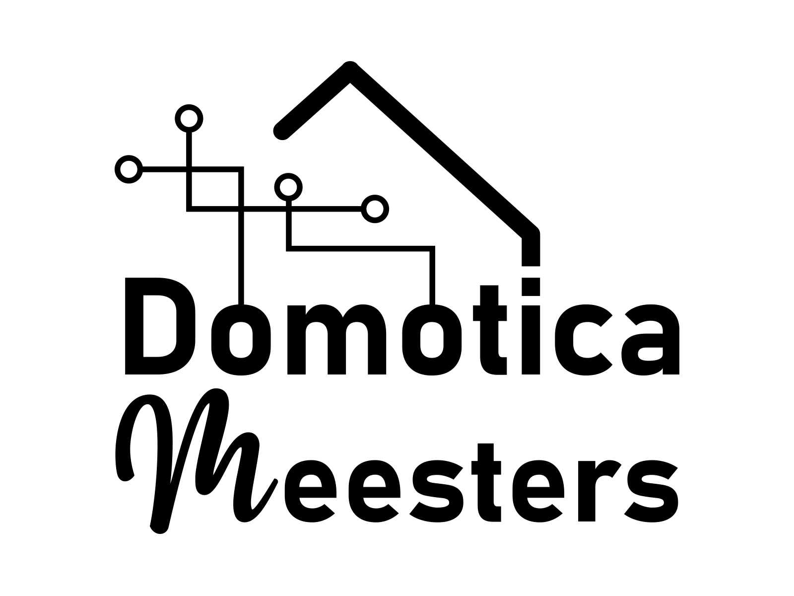 Domotica Meesters
